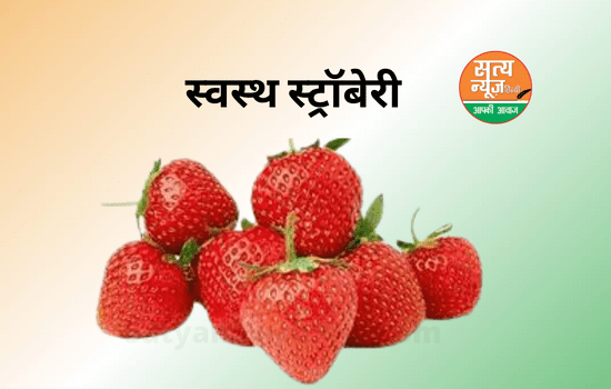 Benefits of Strawberry